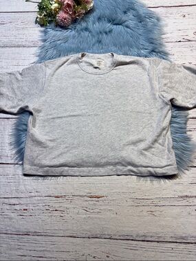 Buck Mason Heather Oat Field-Spec Boyfriend Crop Tee sz L